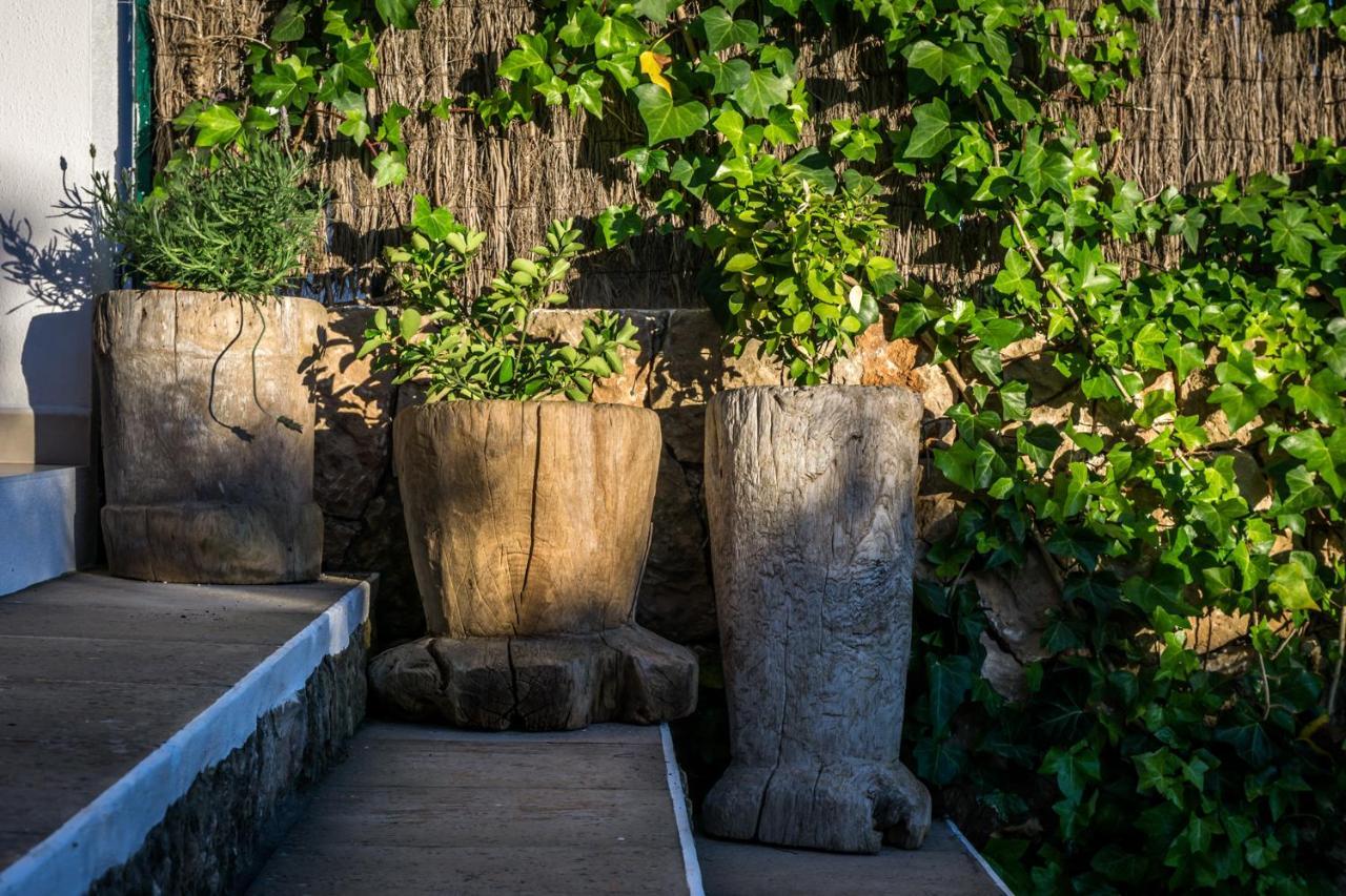 Olivo - Acogedora Casa Con Exclusivo Diseno Interior * Puig D'en Valls